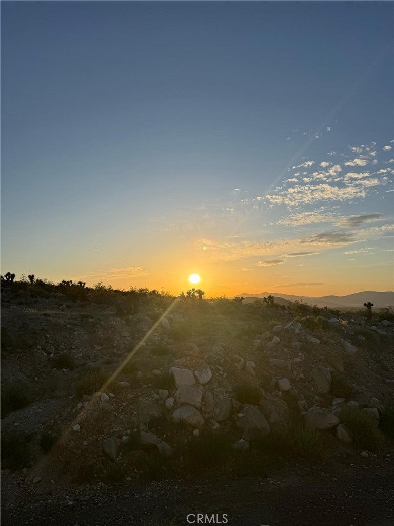 Photo of Listing #IV25234128