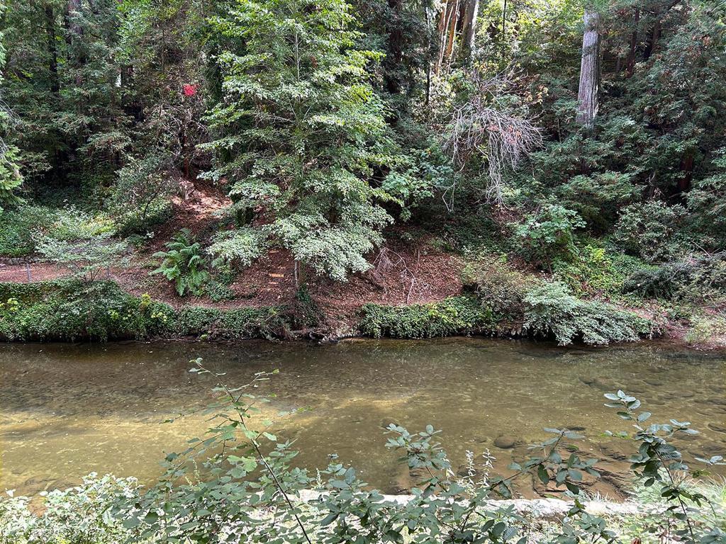 Photo of Listing #ML82024106