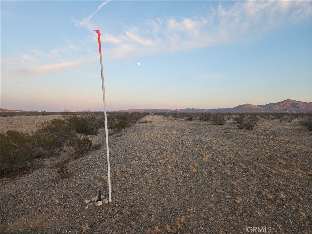 Photo of Listing #HD25235641