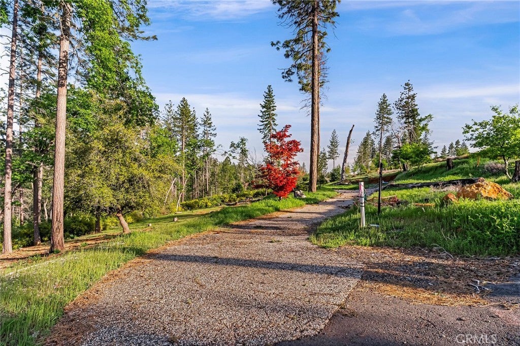 Photo of Listing #SN25235949