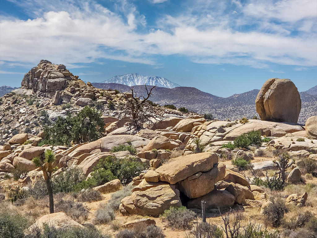 Photo of Listing #219136632PS