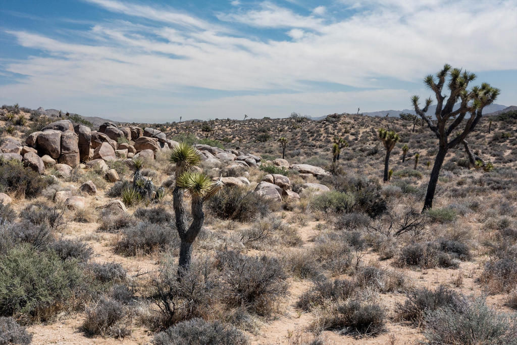 Photo of Listing #219136632PS