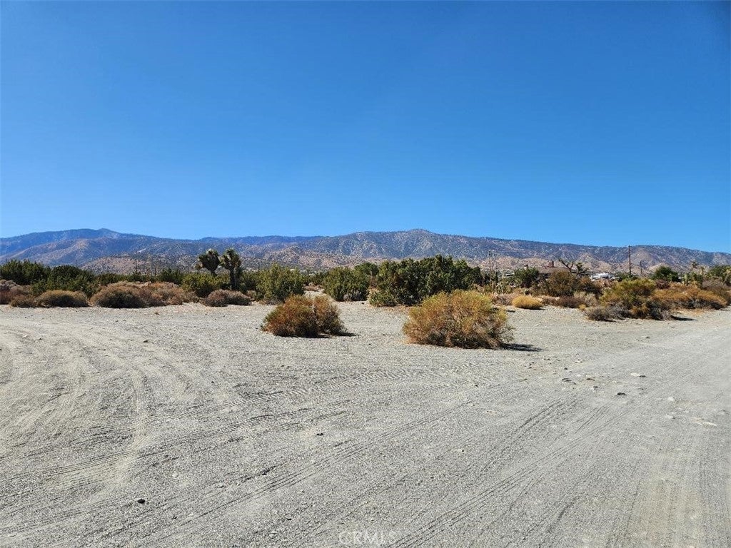 Photo of Listing #IV25236039