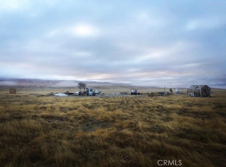 Photo of Listing #PW25236328