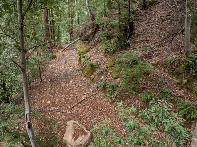 2 Bear Creek, Boulder Creek