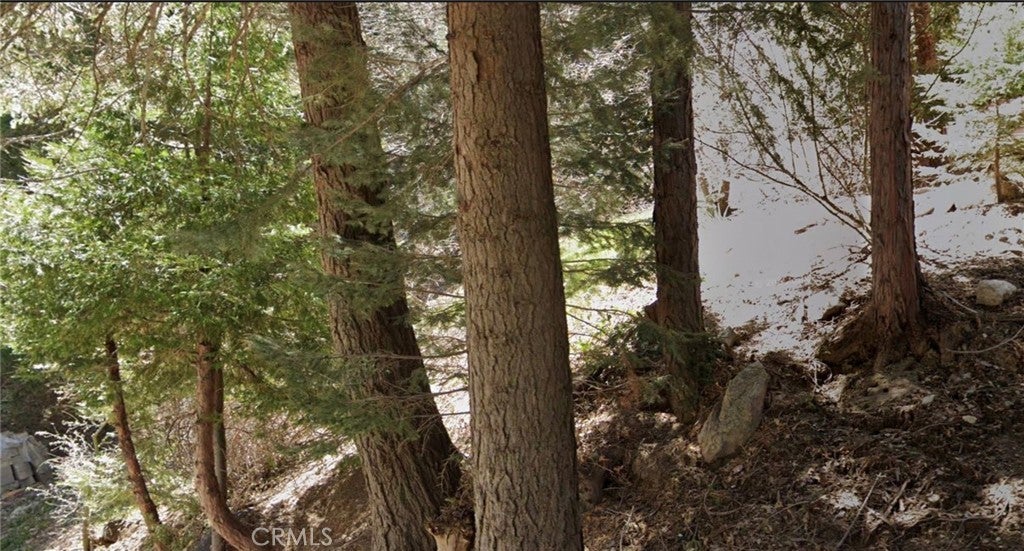 Photo of Listing #SW25238911