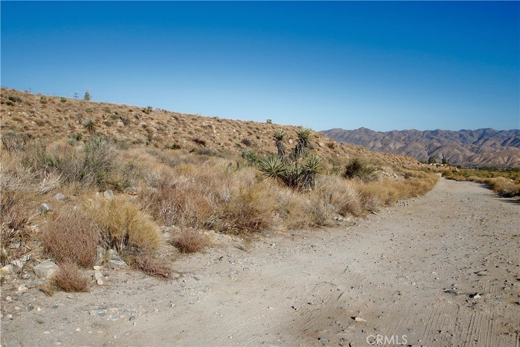 Photo of Listing #OC25240142