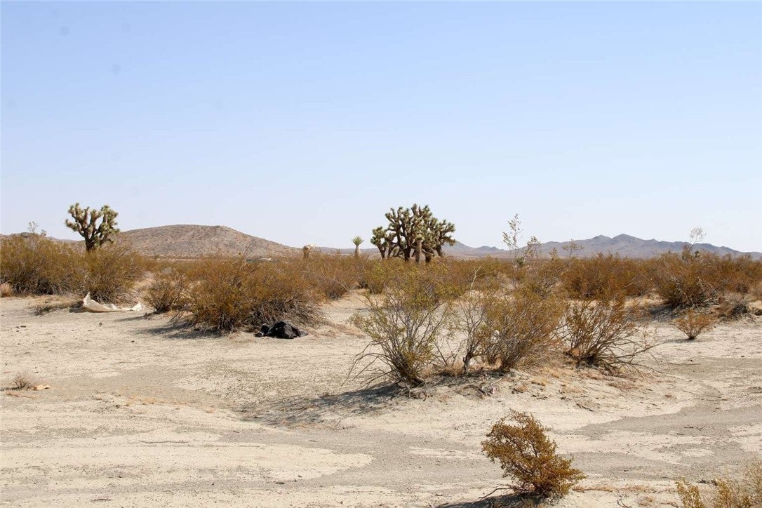 Photo of Listing #FR25239273