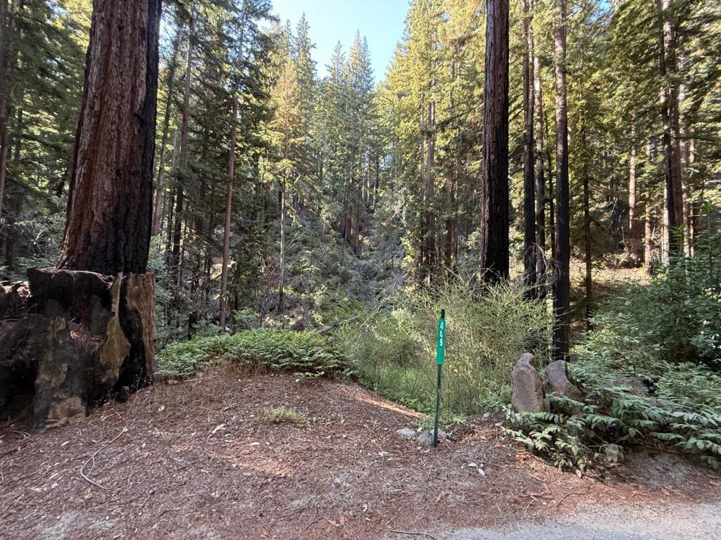 449 Band Road, Boulder Creek