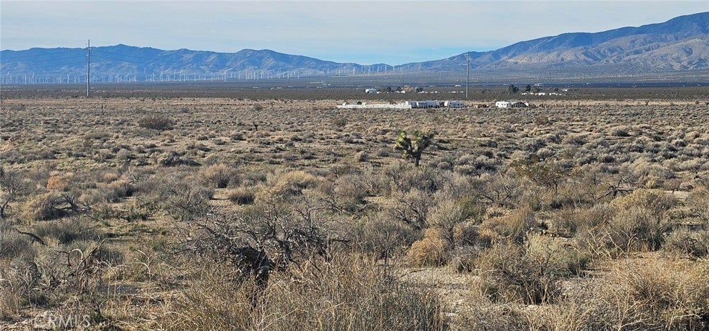 Photo of Listing #SR25237313