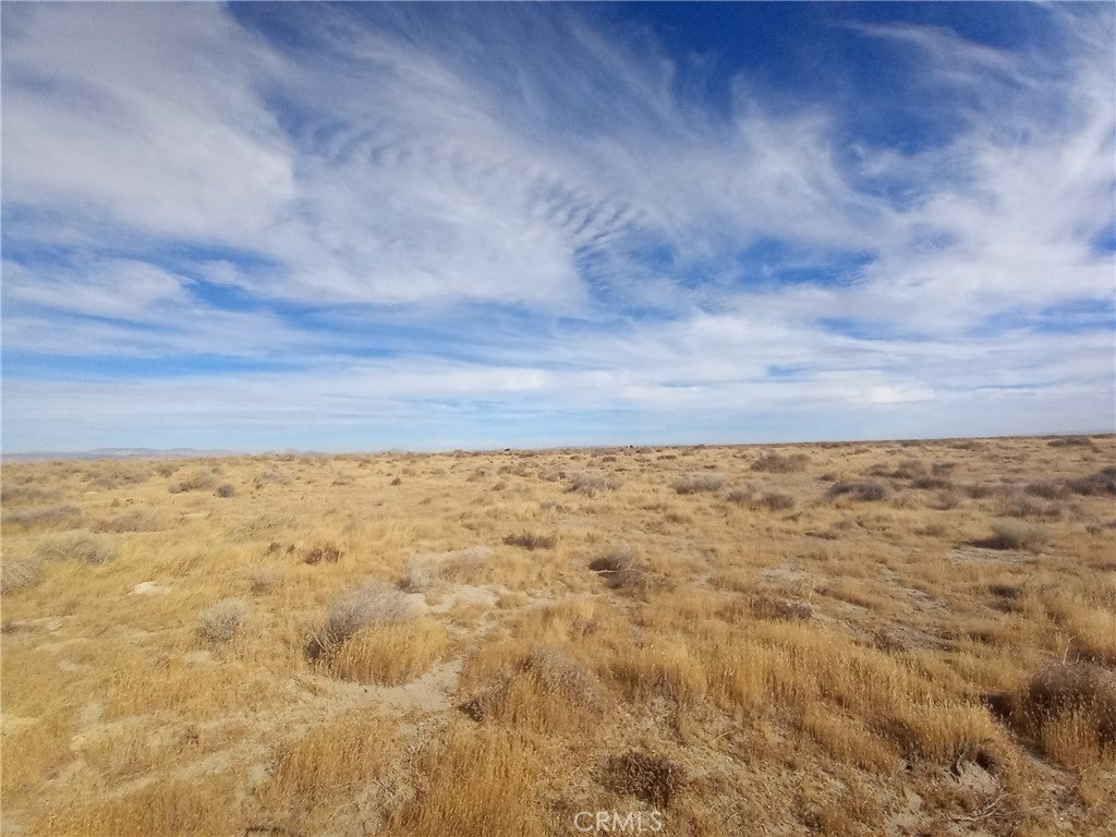 Photo of Listing #SR25242088