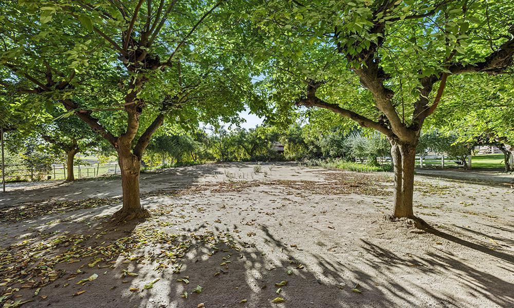 Photo of Listing #ML82025254