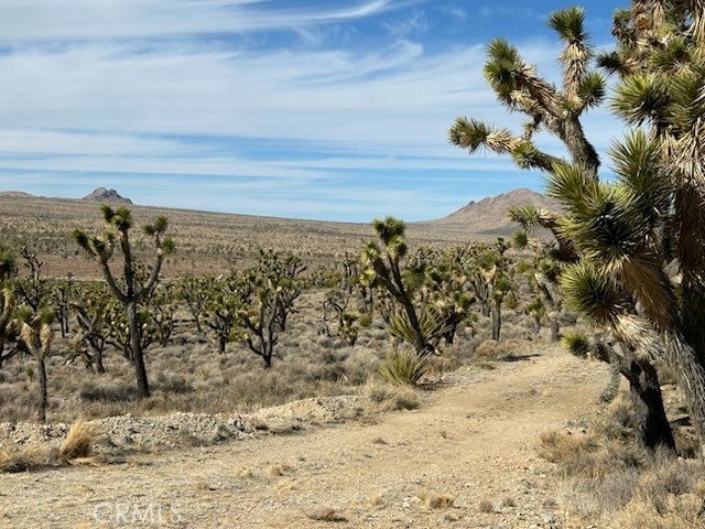 Photo of Listing #IG25242534