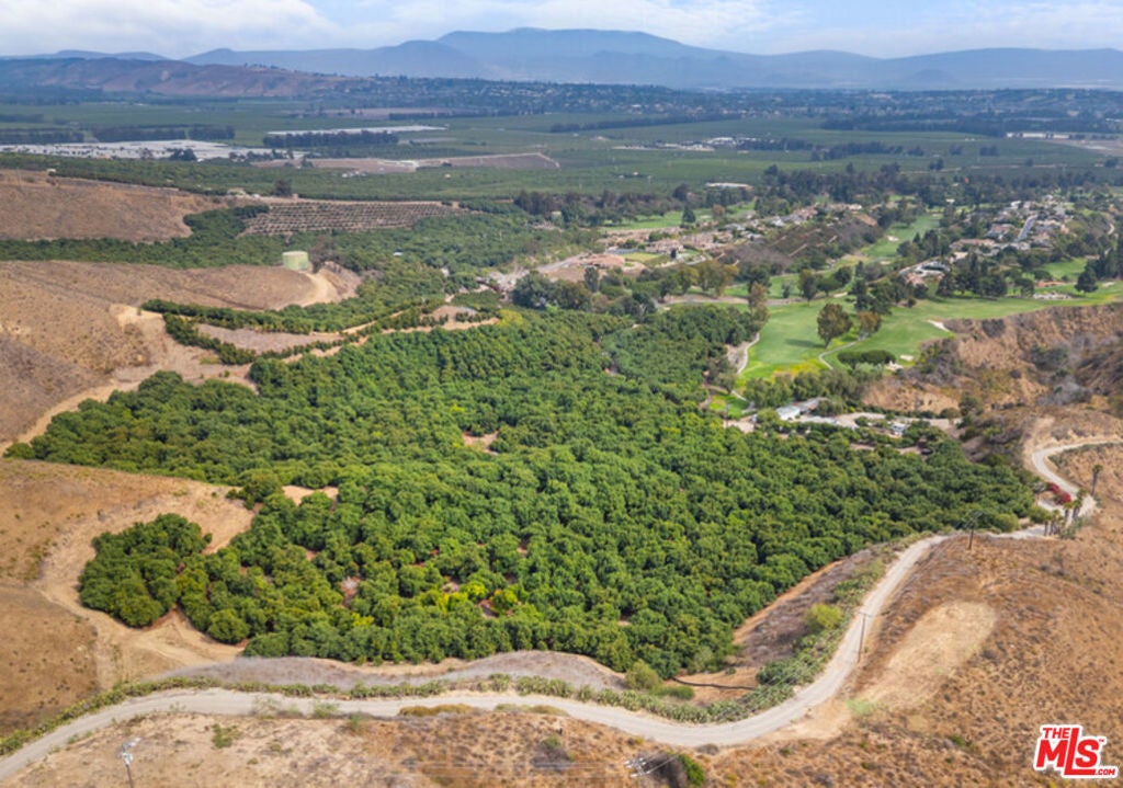 Photo of Listing #25595141