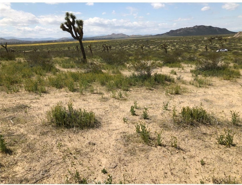 Photo of Listing #IV25243480