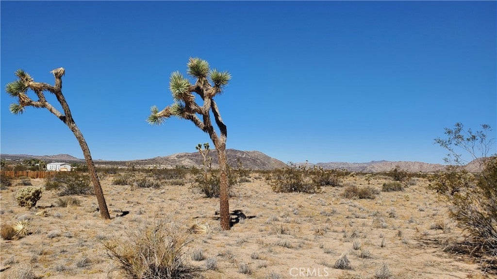 Photo of Listing #OC25243523