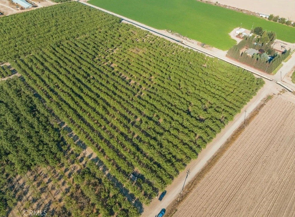 Photo of Listing #MC25241973