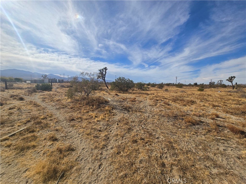 Photo of Listing #SR25244252