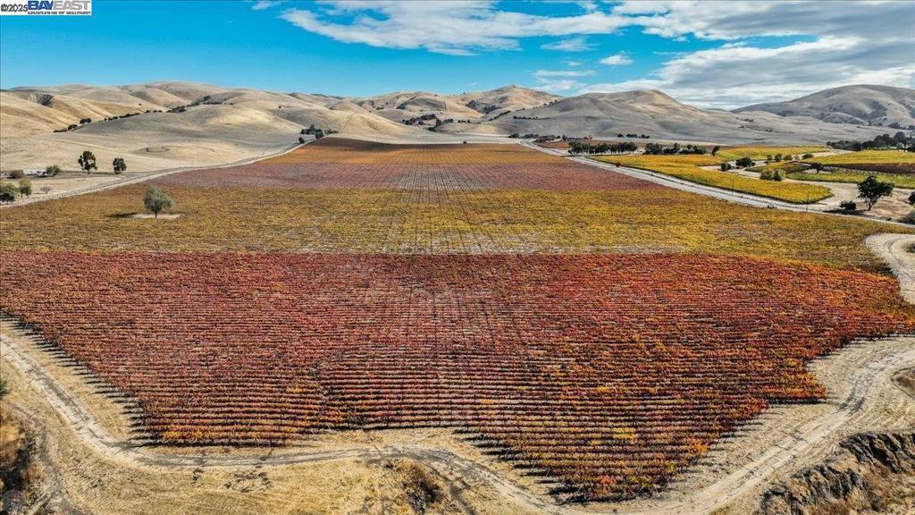 Photo of Listing #41115386