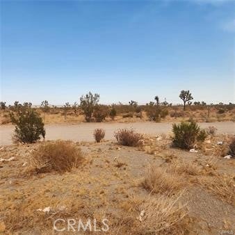 Photo of Listing #SR25244664