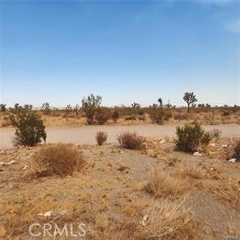 Photo of Listing #SR25244690