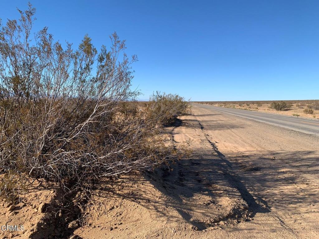 Photo of Listing #P1-24649