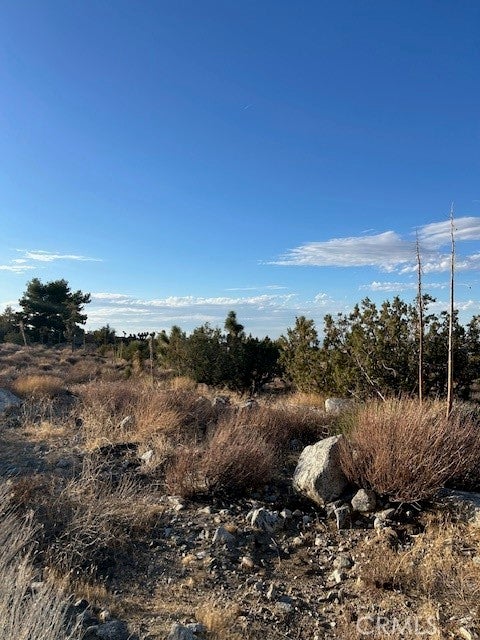 Photo of Listing #HD25244465