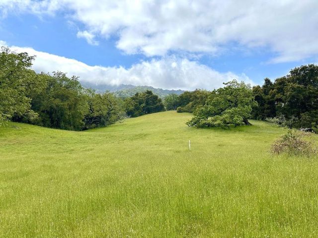 29 Arroyo Sequoia, Carmel