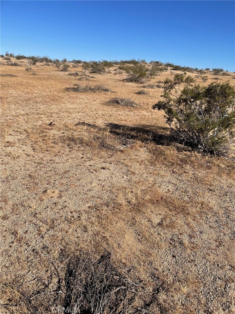 Photo of Listing #PW25245244