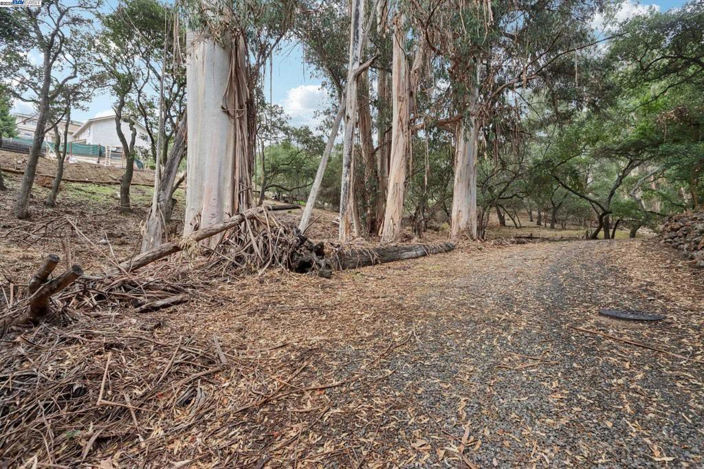 Photo of Listing #41115723