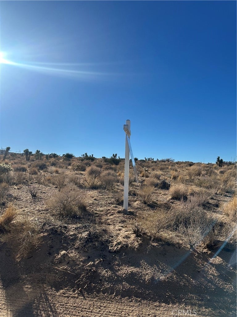 Photo of Listing #HD25246341