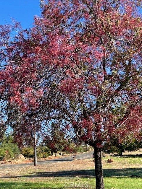 Photo of Listing #PA25246124