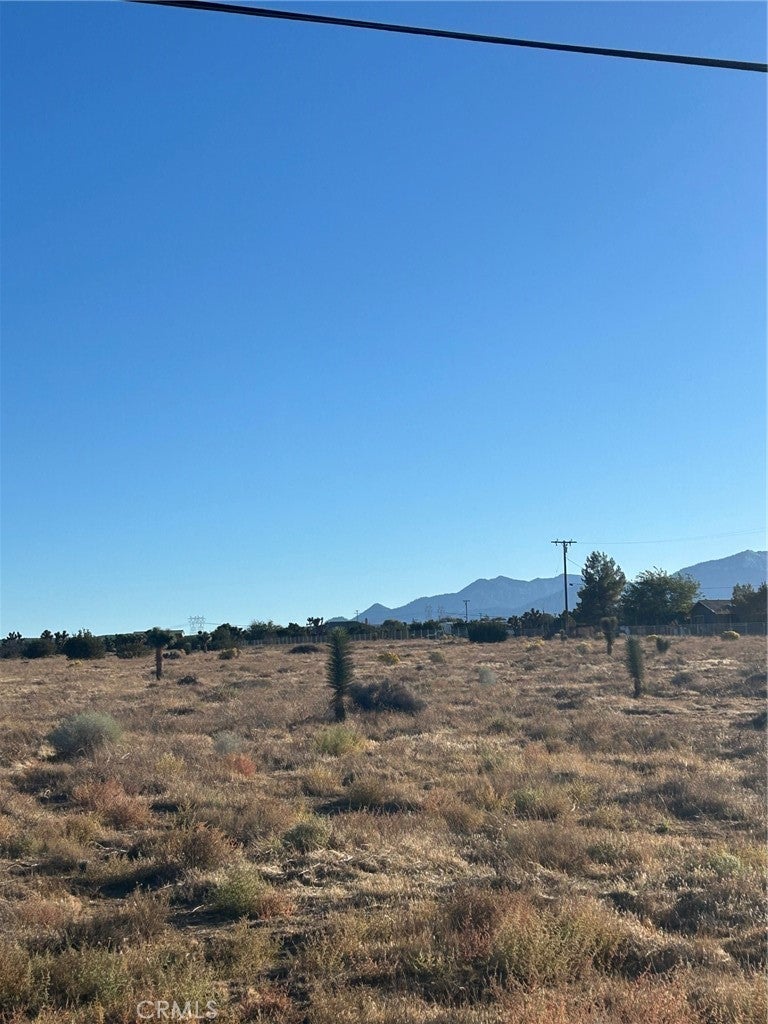 Photo of Listing #HD25246899