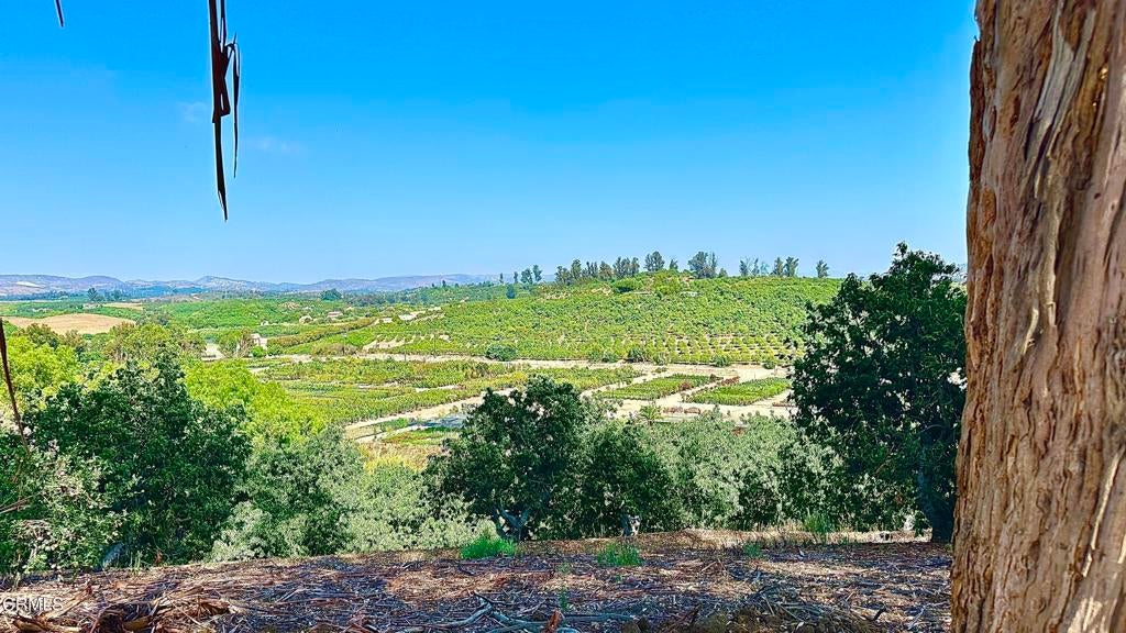 Photo of Listing #V1-33063