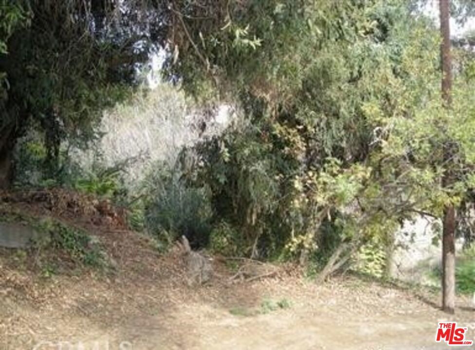 Photo of Listing #25610955