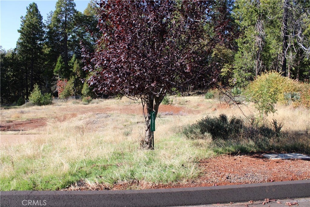 Photo of Listing #SN25248391