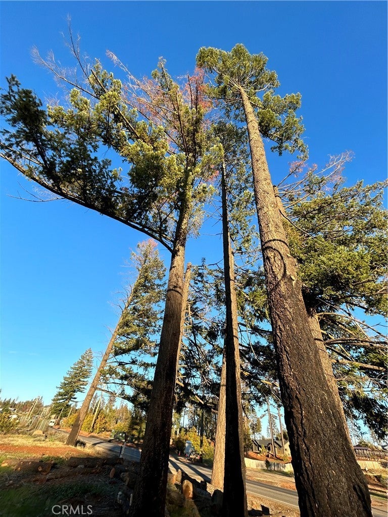 Photo of Listing #SN25247700