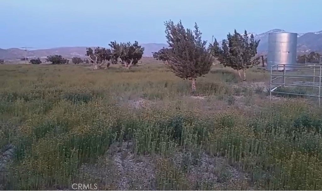 Vac/longview Rd/vic Murphys Road, Juniper Hills