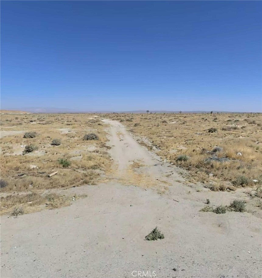 Photo of Listing #PI25249991