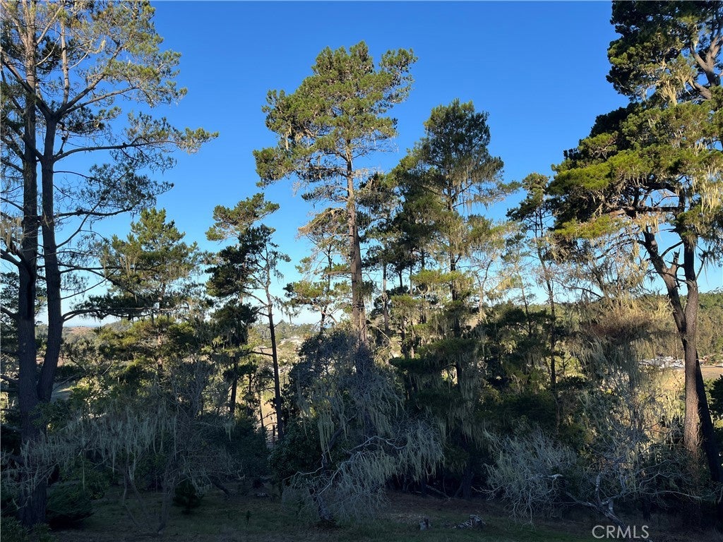 Photo of Listing #SC25250182