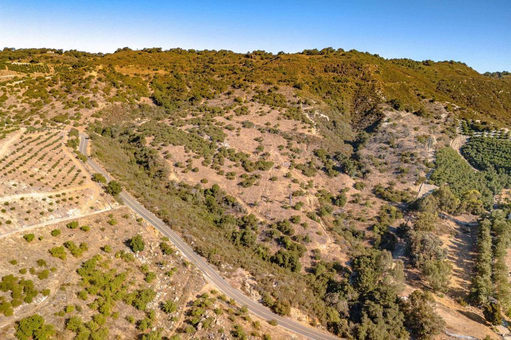 Photo of Listing #PTP2508186