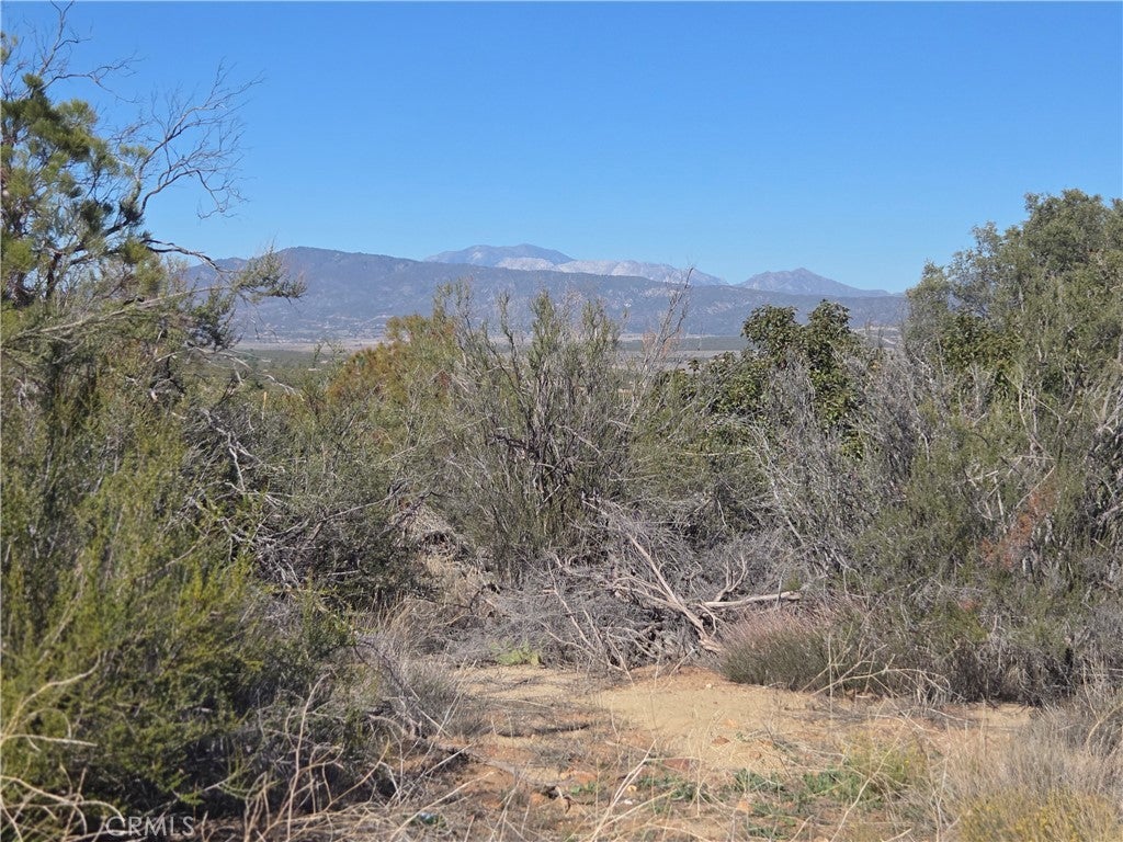 Photo of Listing #SW25248553