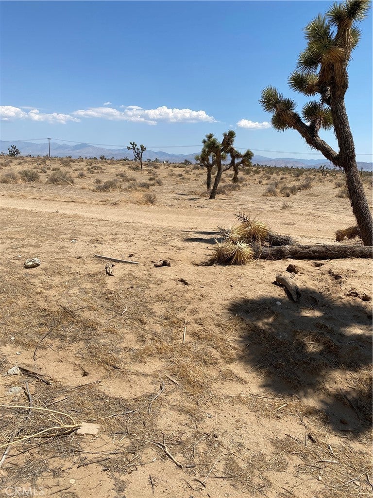 Photo of Listing #SR25251430