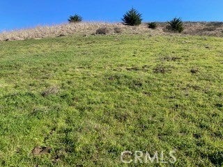 Photo of Listing #SC25251563