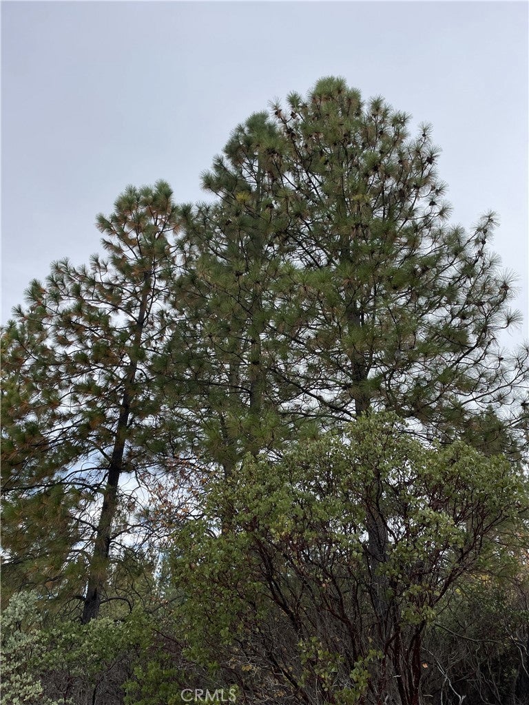 Photo of Listing #SN25251665