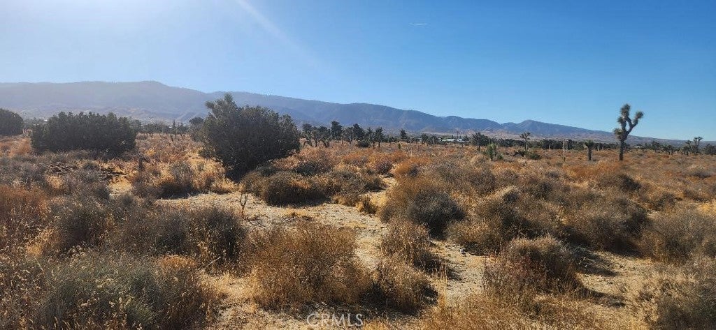 0 12 Silver Rock Road, Pinon Hills