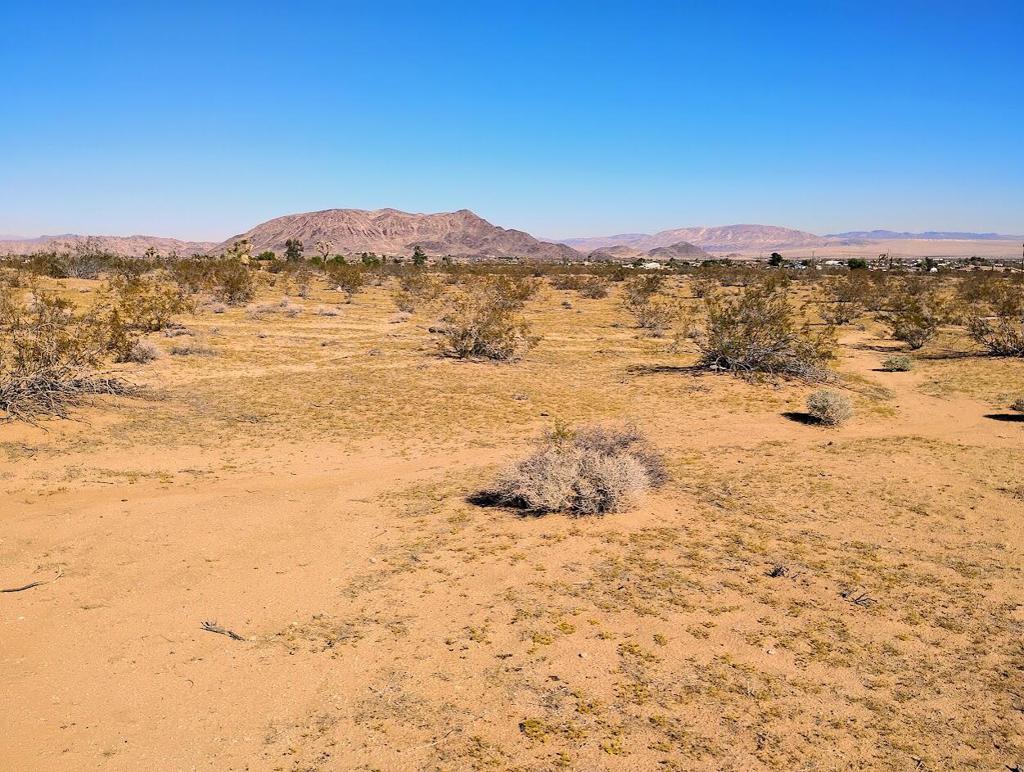 Photo of Listing #219138097DA