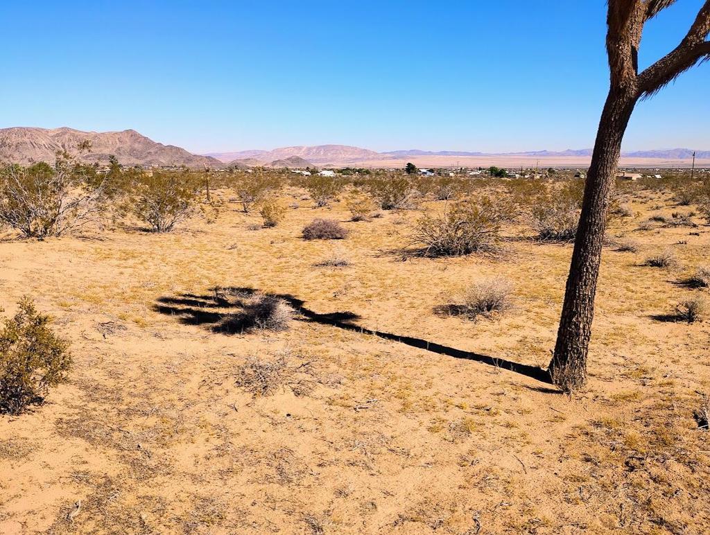 Photo of Listing #219138097DA