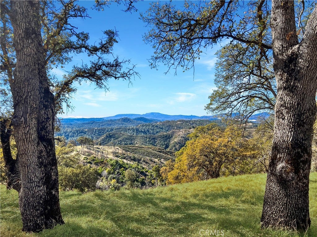 Photo of Listing #LC25252597