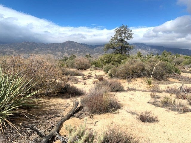 Photo of Listing #SW25252964